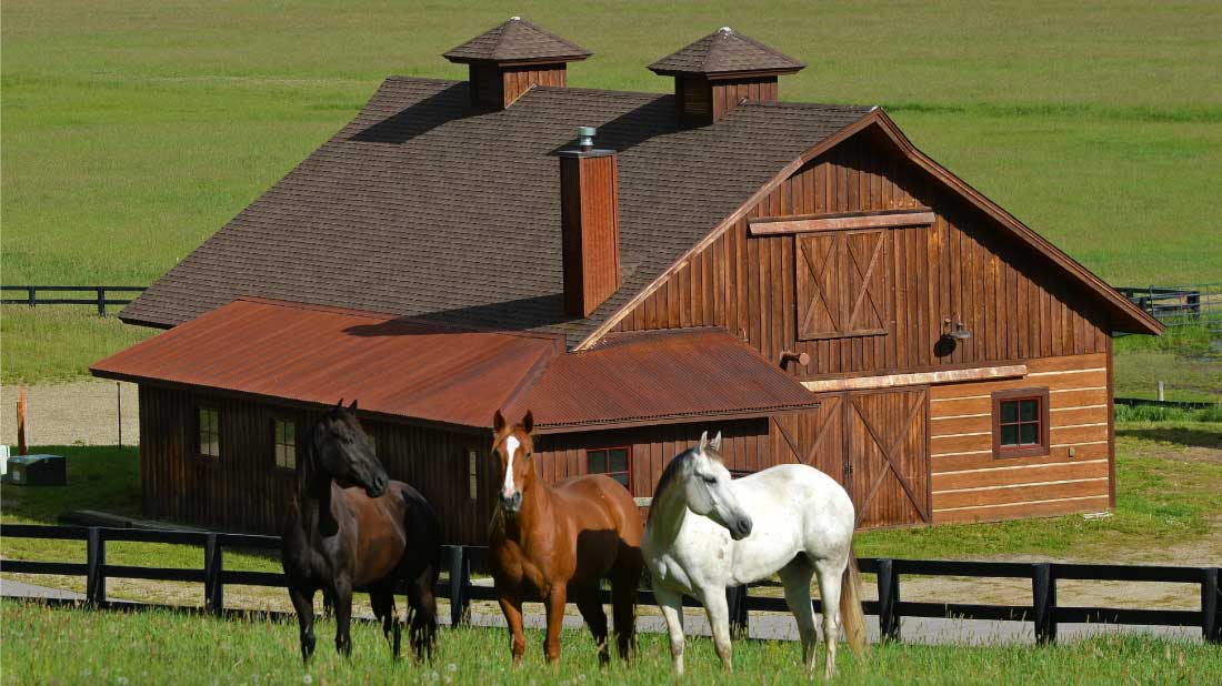 Amr Barn Horses 02 Alpine Mountain Ranch