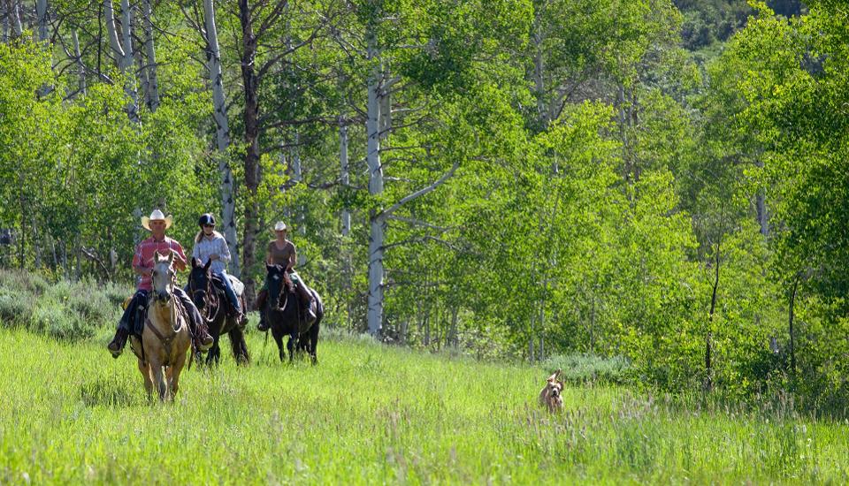 alpine mountain ranch trail riding - A Weekend Visit To Alpine Mountain Ranch And Club In Steamboat Springs