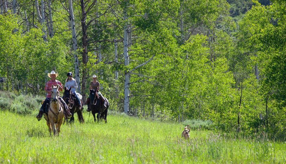 A Weekend Visit To Alpine Mountain Ranch And Club In Steamboat Springs