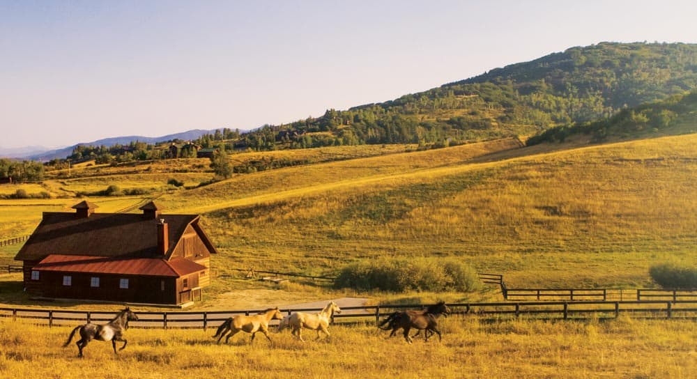 amr fall landscape3 - Opportunity abounds at Alpine Mountain Ranch & Club