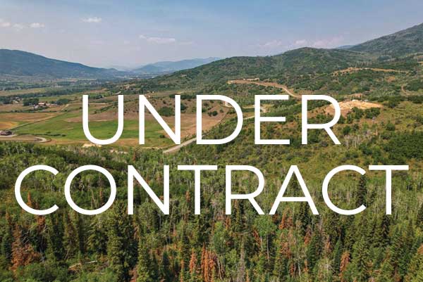 under contract homesite 62 - Opportunity abounds at Alpine Mountain Ranch & Club