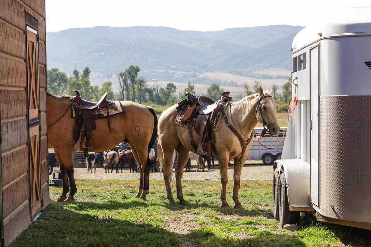 amr barn two horses trailer - Philanthropy + Community - Summer 2022