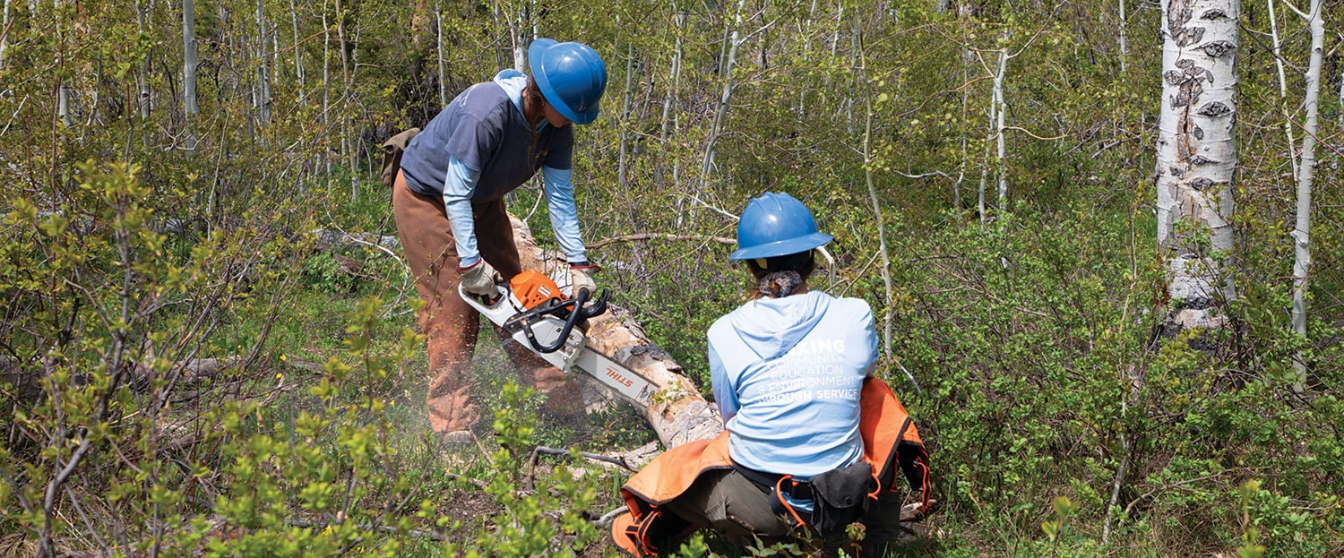 Tree clearing at Alpine Mountain Ranch & Club